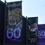 Closed -  A Colchester Zoo exhibit is currently closed-off to visitors today(Image: Tom Smith)