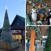 Festive: areas of Colchester Zoo decorated for christmas