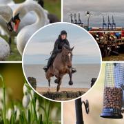 Snaps - Members of the gazette Camera Club shared amazing pictures of the beauty of Essex and its fascinating wildlife