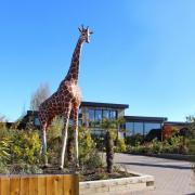 Site - Historic England claimed that Colchester Zoo’s expansion plan and Tarmac’s plans to extract 500,000 tonnes of sand could harm the historic Gryme’s Dyke