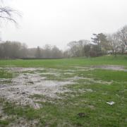Damage - a recent picture showing the poor state of Lower Castle Park