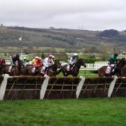 Gallop - runners and riders in the Boodles Juvenile Handicap Hurdle on day one of the 2024 Cheltenham Festival