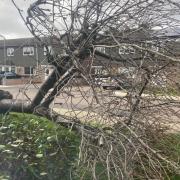 Impact - Chaos caused by Storm Eunice in 2022
