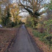 Road - a Street View image of Solid Lane in Doddinghurst where the  animal bodies have reportedly been found