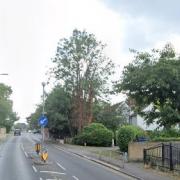 Site - The nursery could be built at The Firs, in High Road, Chigwell