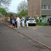 Police and forensic officers at the scene in Bourne Court