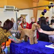 Event - The popular dog grooming event is returning to Marks Tey Parish Hall