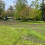Repairing - the grass in Lower Castle Park pictured today, April 22