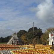 A view of the pumpkin display, Hatter’s Farm, October 2026 (Image: Noura Bendaha)