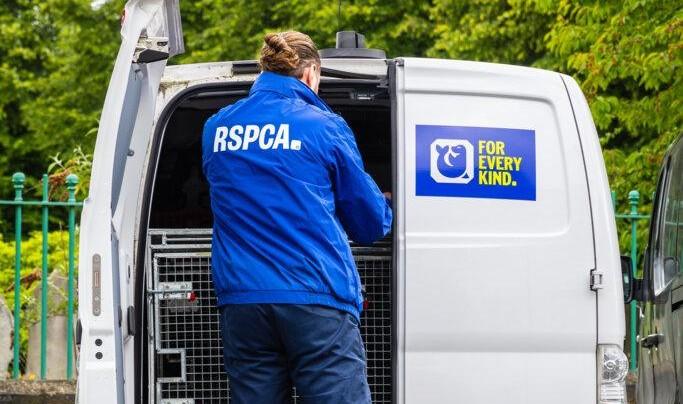 Woman banned from keeping animals after neglect in Essex home