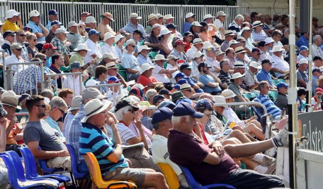 There's no Colchester Cricket Festival again this year