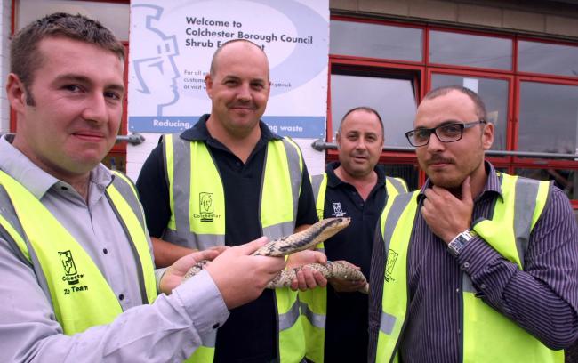 Casey Harrison, Peter Ferguson, Steve Switzer and Chris Halls were called to an escaped snake.