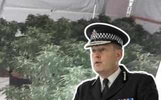 Issue - Chief Constable Ben-Julian Harrington said cannabis is becoming an 'increasing problem' in Colchester