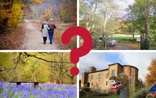 Colchester - Five of the best places for autumnal walks in and around Colchester (Image: Canva)