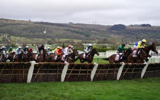 Gallop - runners and riders in the Boodles Juvenile Handicap Hurdle on day one of the 2024 Cheltenham Festival