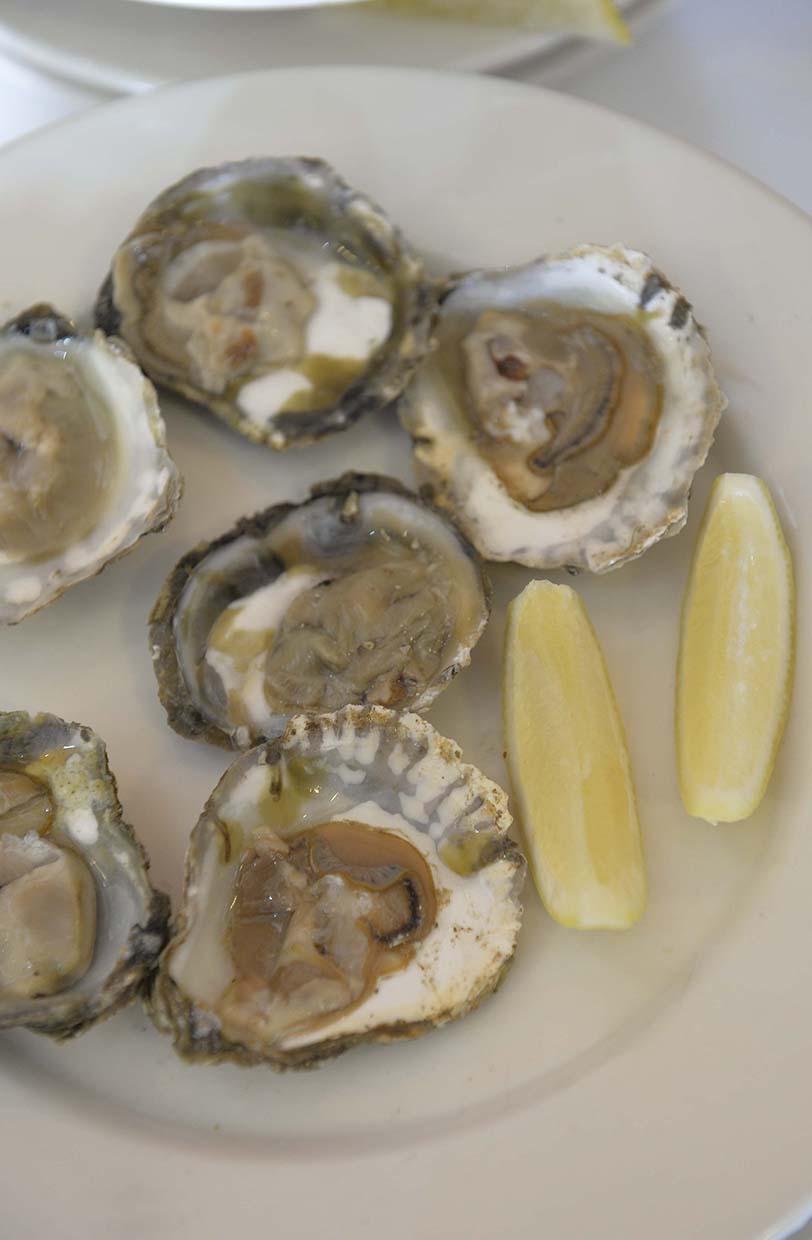 Colchester Oyster Feast